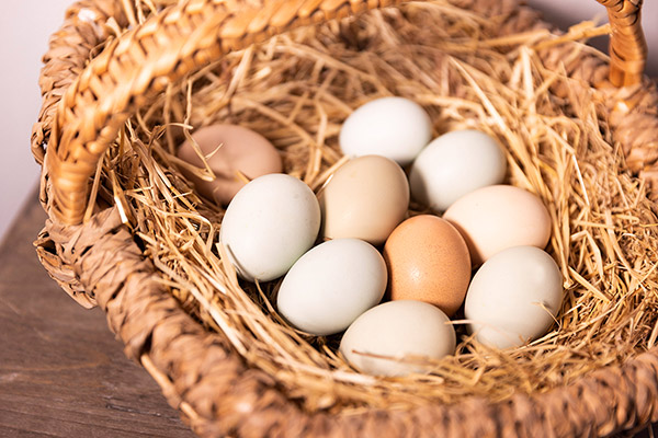 Täglich frische Eier von unseren Hühnern