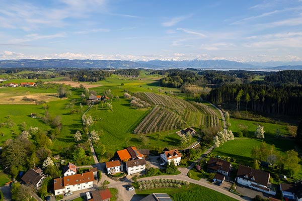 Ferienwohnung Schwalbennest