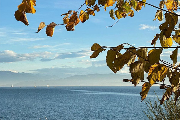 Herbststimmung am Bodensee