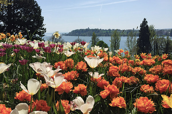 Blumeninsel Mainau