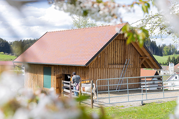 Komfortables Heim für unsere tierischen Hofbewohner