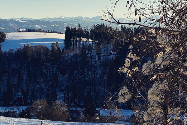 Ausblick auf die verschneiten Alpen