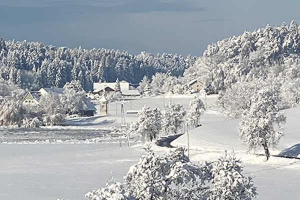 Winter auf dem Kirschhof